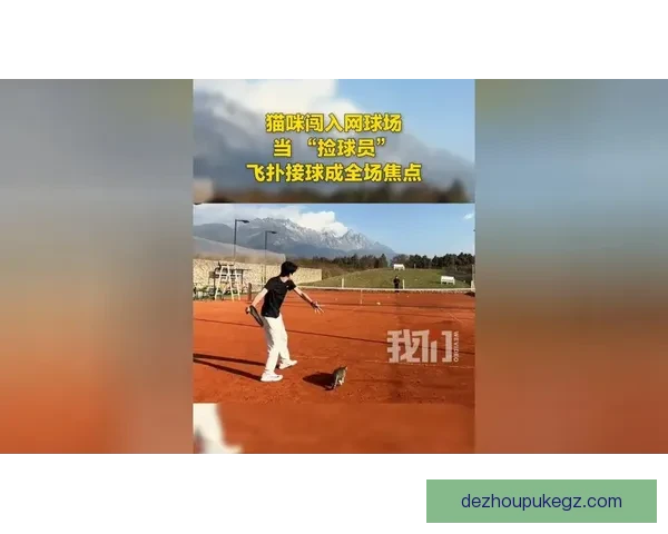 桑德比力克云洛斯1-0全场焦点：艰难胜利背后的战术布局与球员表现分析